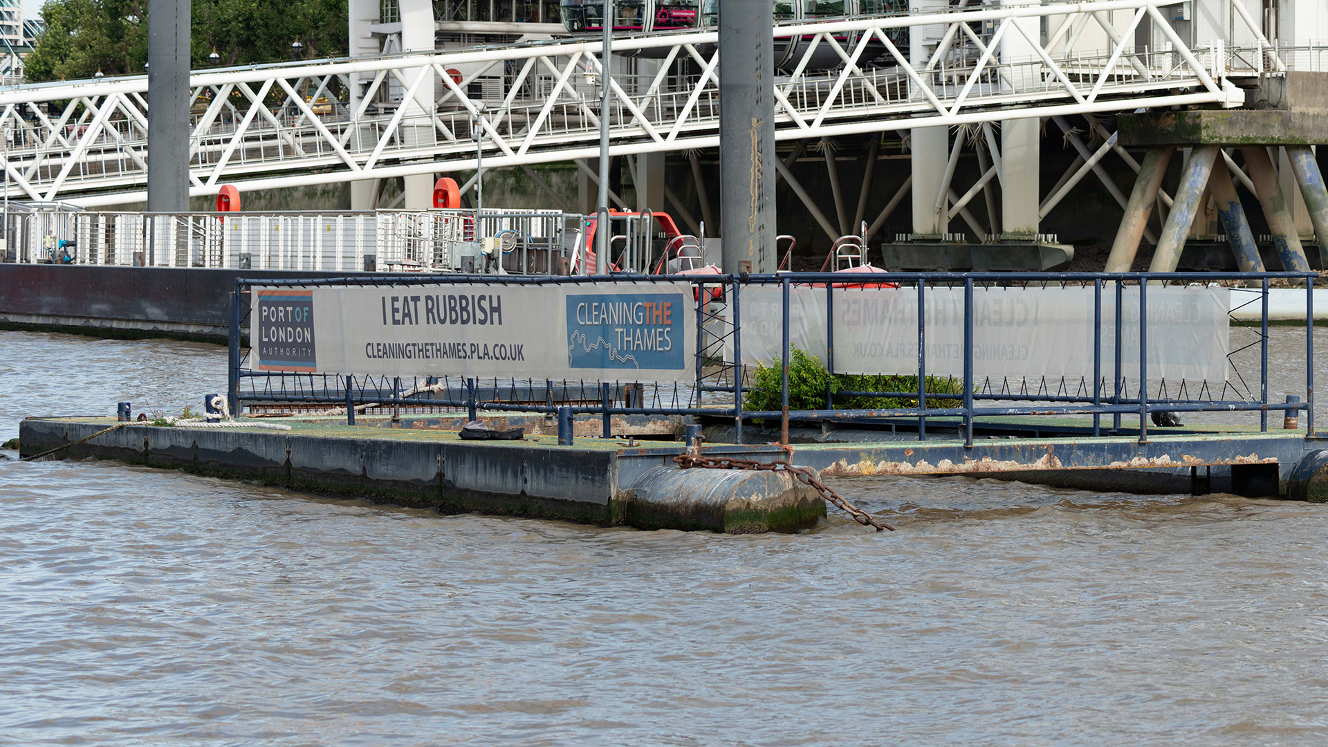 driftwood collector Thames