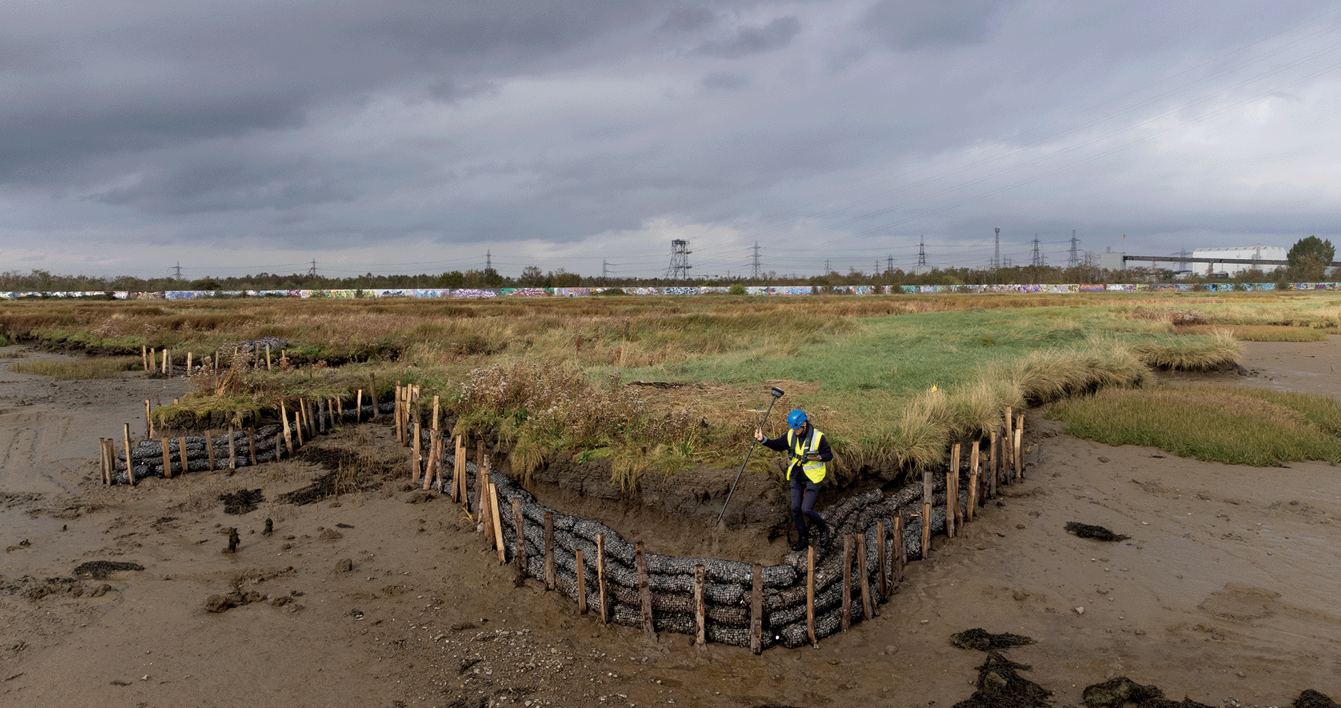 West Thurrock marsh restoration project