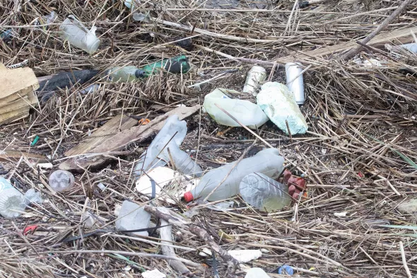 rubbish plastic reeds thurrock