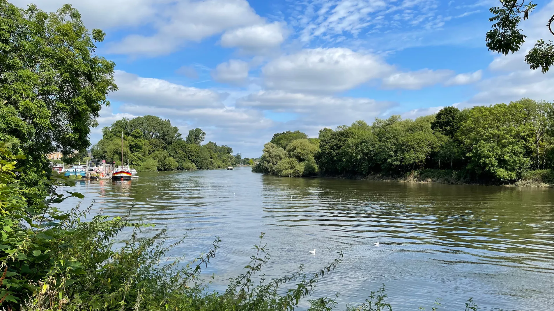 Sky River Thames Water Trees