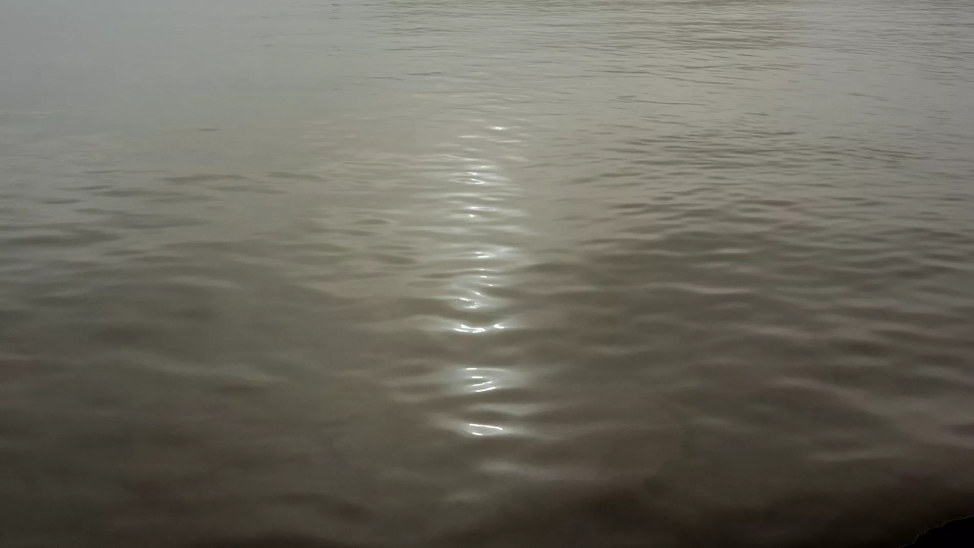 Water reflections fog
