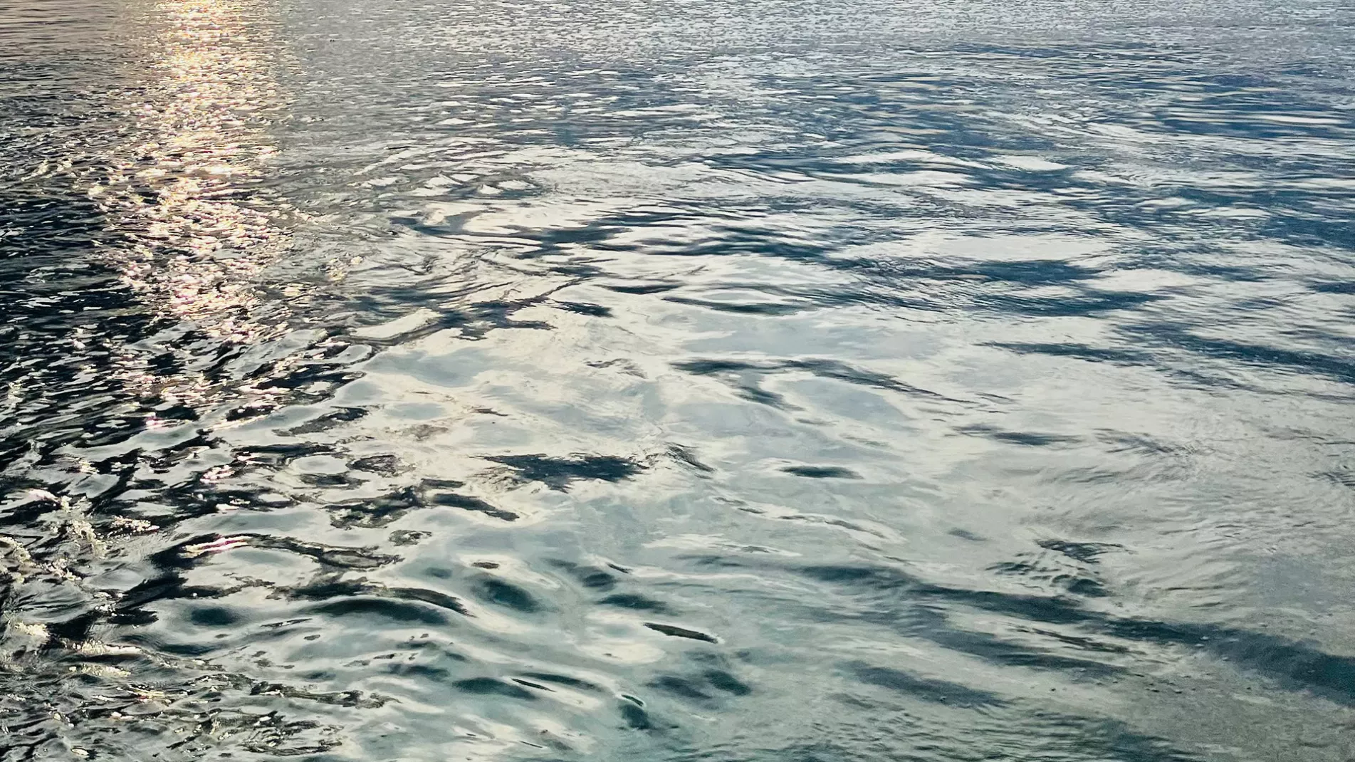 Water Reflections Ripples