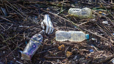 rubbish plastic hand purfleet