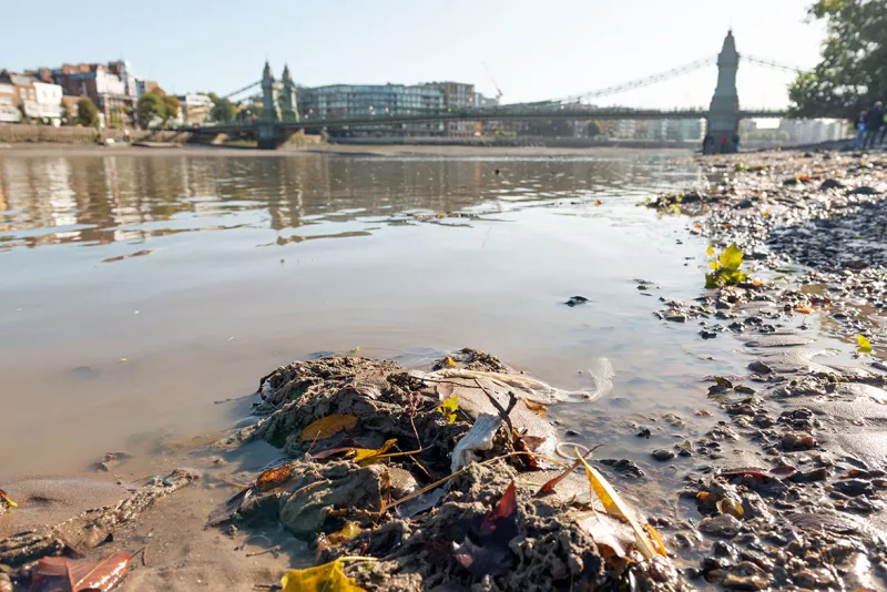 Wet wipes and other pollution blighting the Thames at Hammersmith. Annually, the PLA retrieves around 200 tonnes of plastic and other litter from the river.