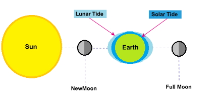 Illustration of spring tides